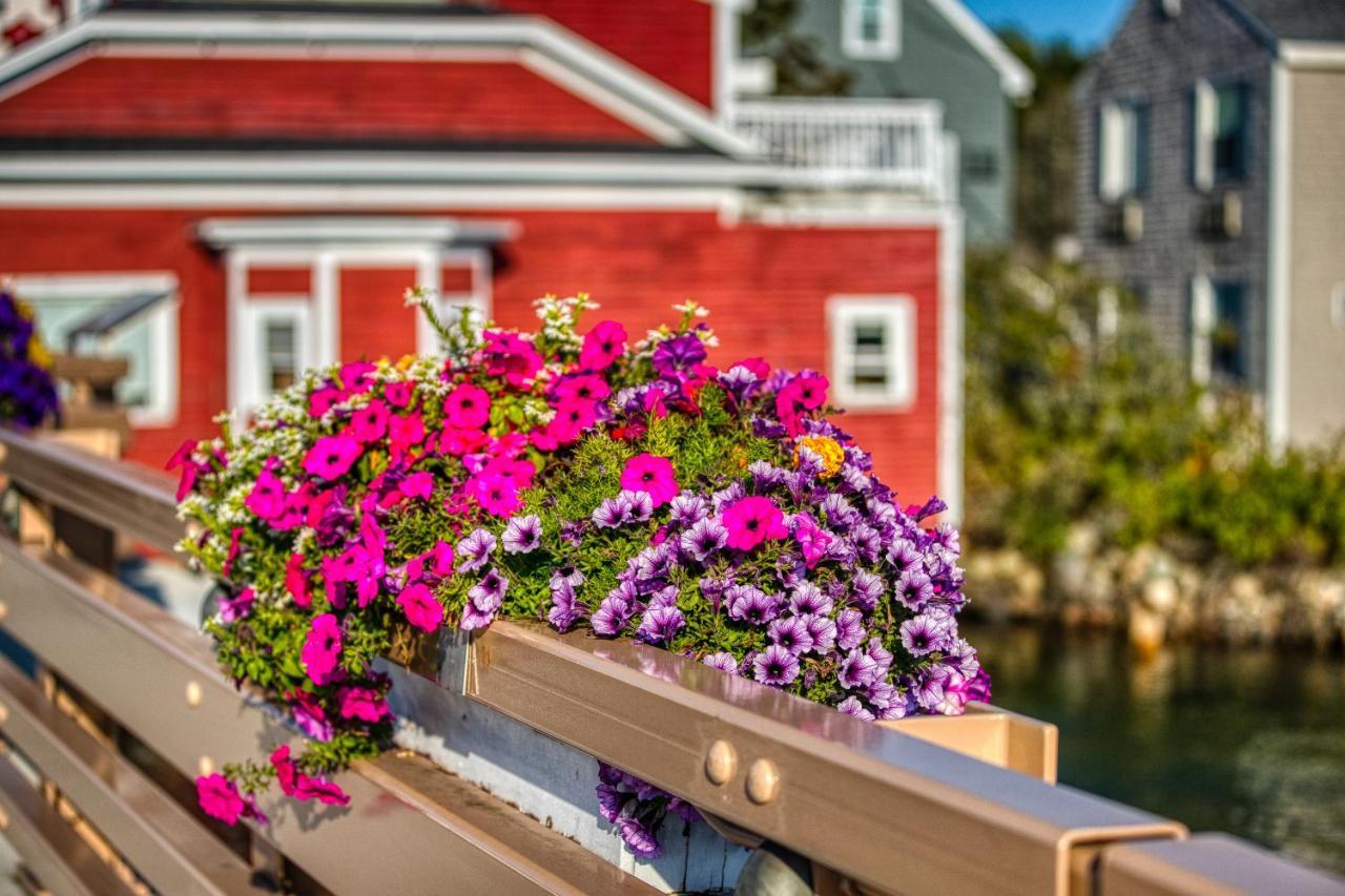 Quaint Bungalow Kennebunk Exteriér fotografie